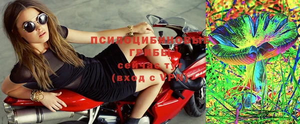 стаф Алексин