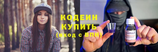 крисы Ростов
