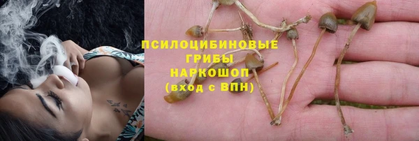 марки lsd Алексеевка